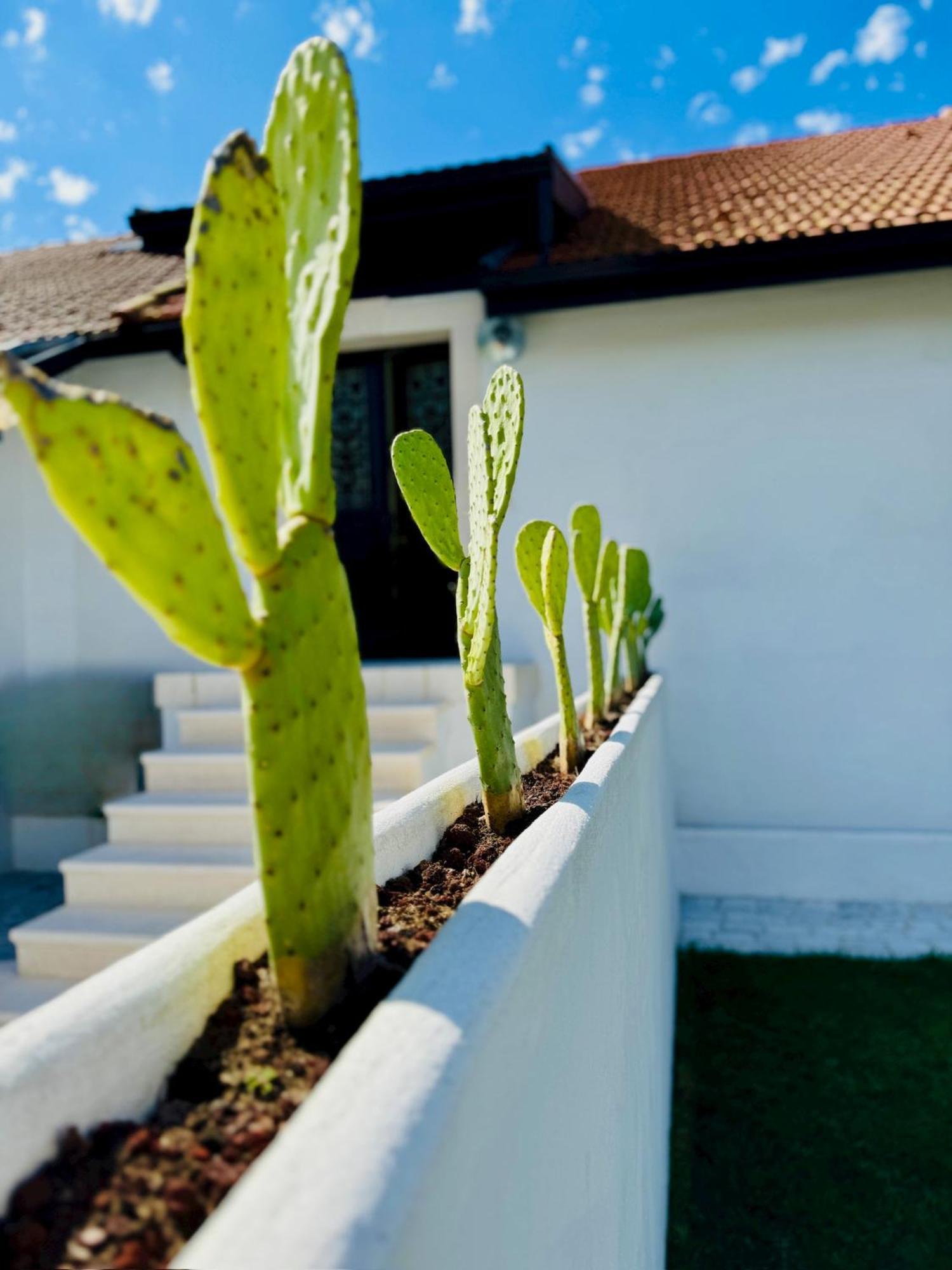 Green Garage Байонна Екстер'єр фото